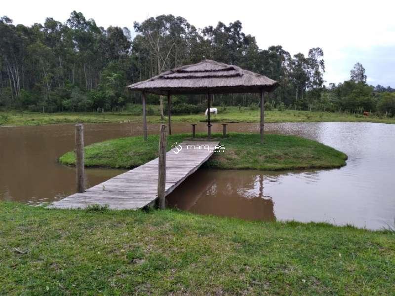 Sítio 3 quartos  no bairro Colônia