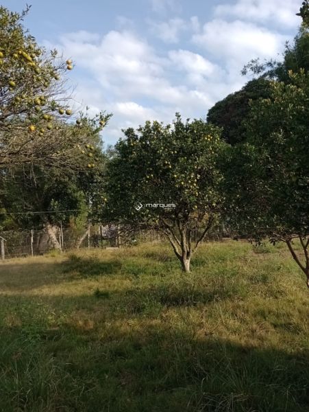 Sítio 3 quartos  no bairro Monte Bonito