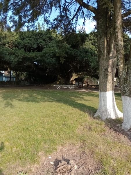 Sítio 3 quartos  no bairro Monte Bonito
