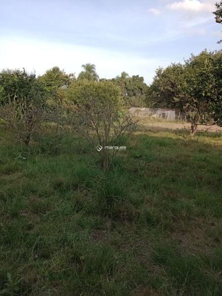 Sítio 3 quartos  no bairro Monte Bonito