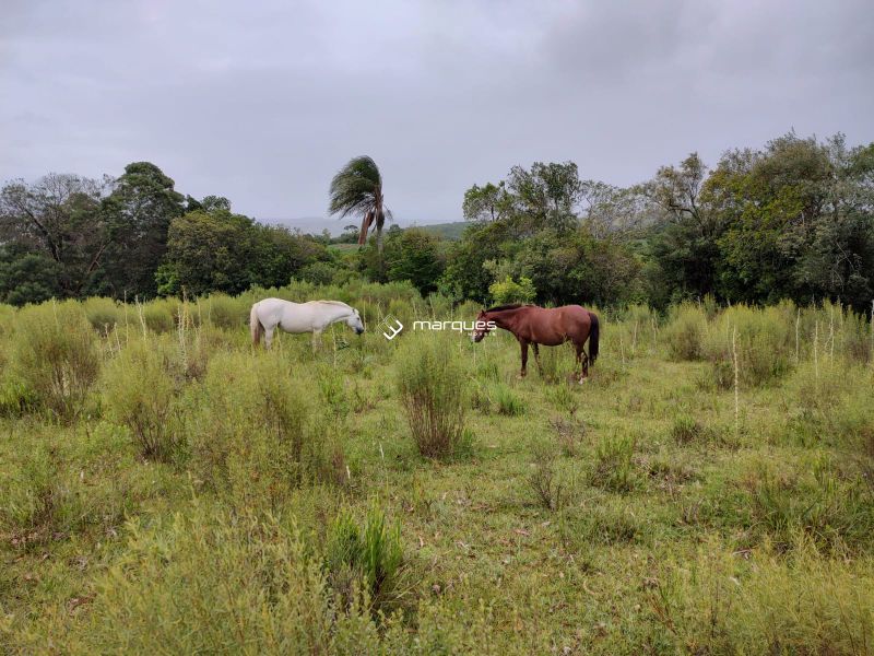 Sítio no bairro Colônia