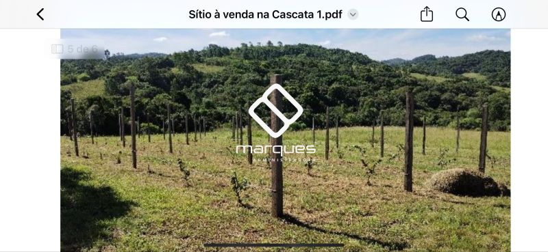Sítio no bairro Cascata