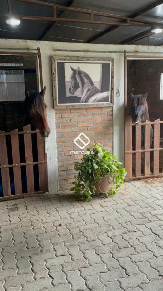 Chácara 3 quartos  no bairro Jardim América