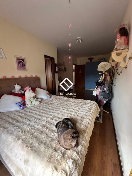 Apartamento 3 quartos  no bairro Areal