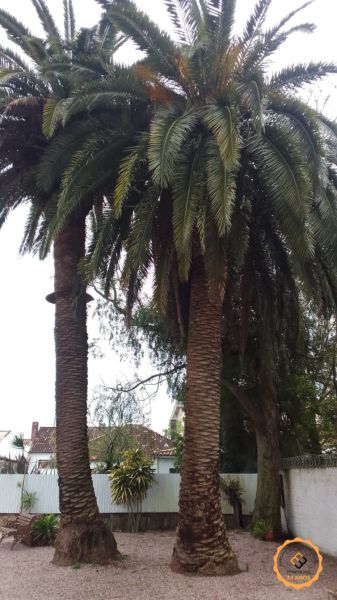 Casa 5 quartos  no bairro Centro