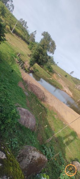 Sítio 2 quartos  no bairro Colônia