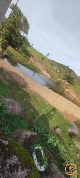 Sítio 2 quartos  no bairro Colônia