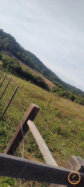 Sítio 2 quartos  no bairro Colônia