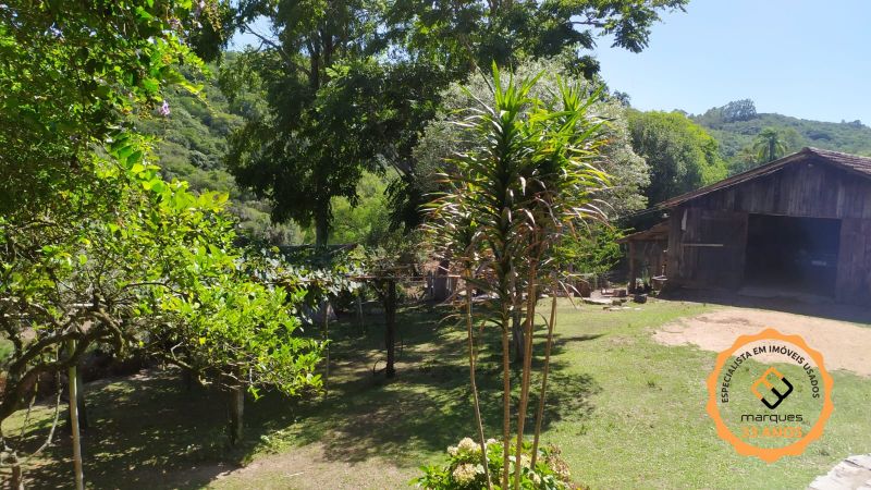 Sítio 2 quartos  no bairro Colônia