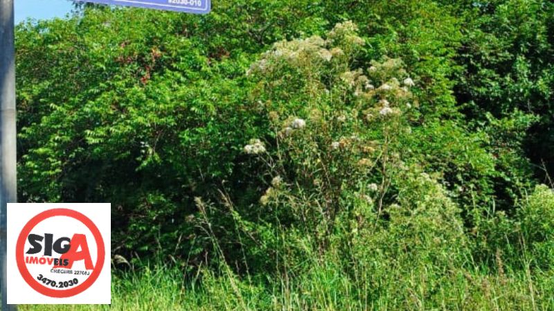 Terreno no Marechal Rondon