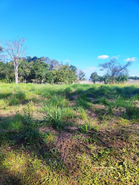 Terreno no bairro Jardim do Prado