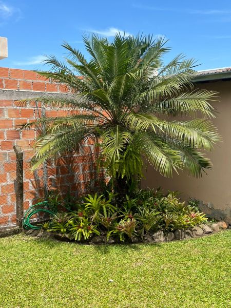 Casa 3 quartos no bairro Santa Rosa