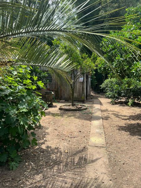 Casa 3 quartos no bairro Santa Rosa