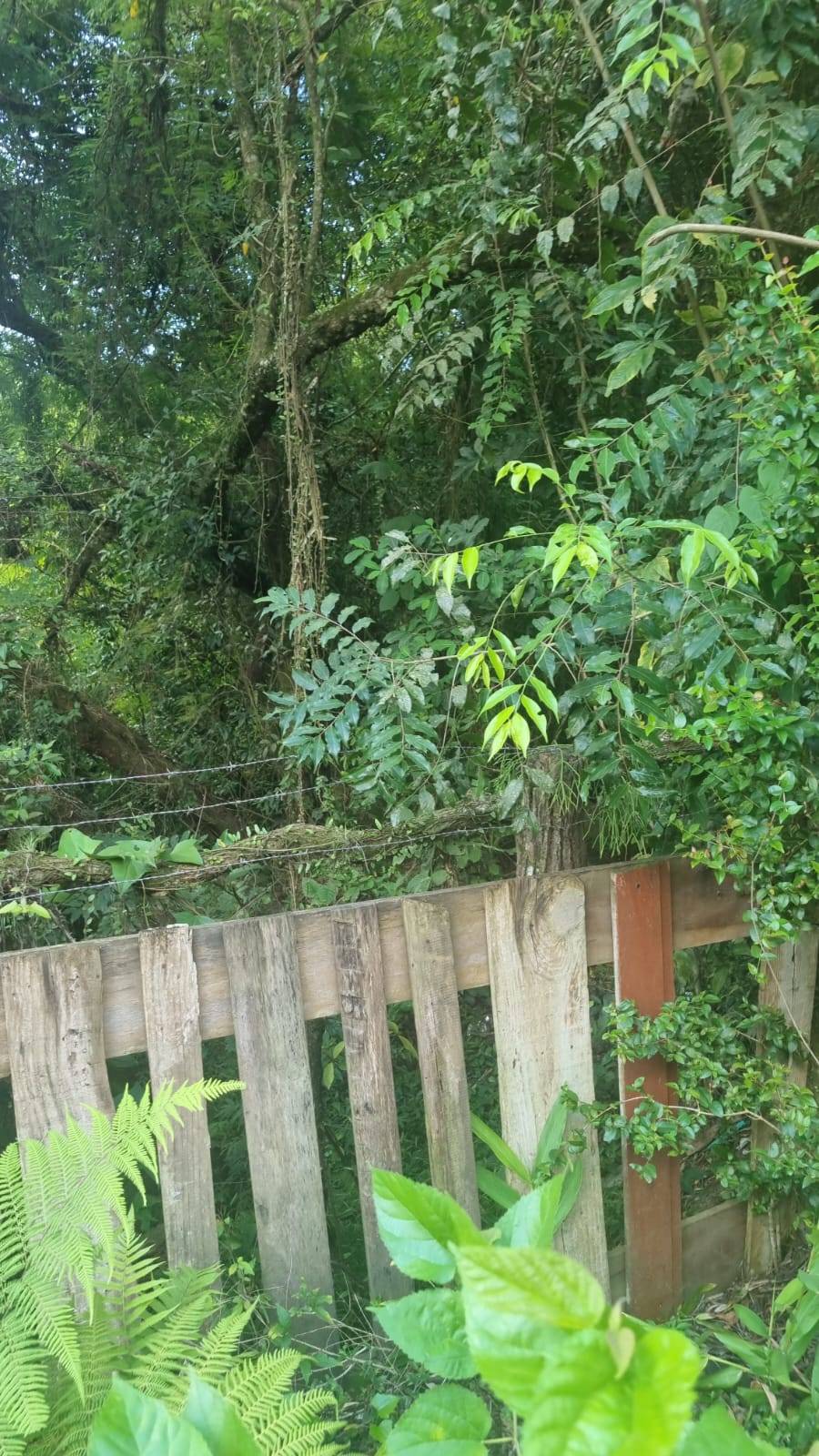 TERRENO no bairro Piratini em Alvorada - Imobiliária Verde Vale | Alvorada - RS 