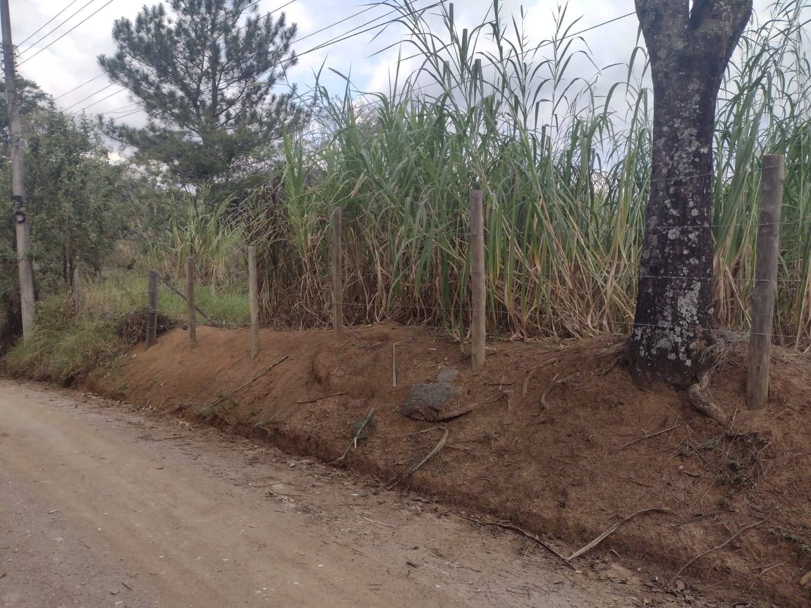 TERRENO no Bom Jardim I