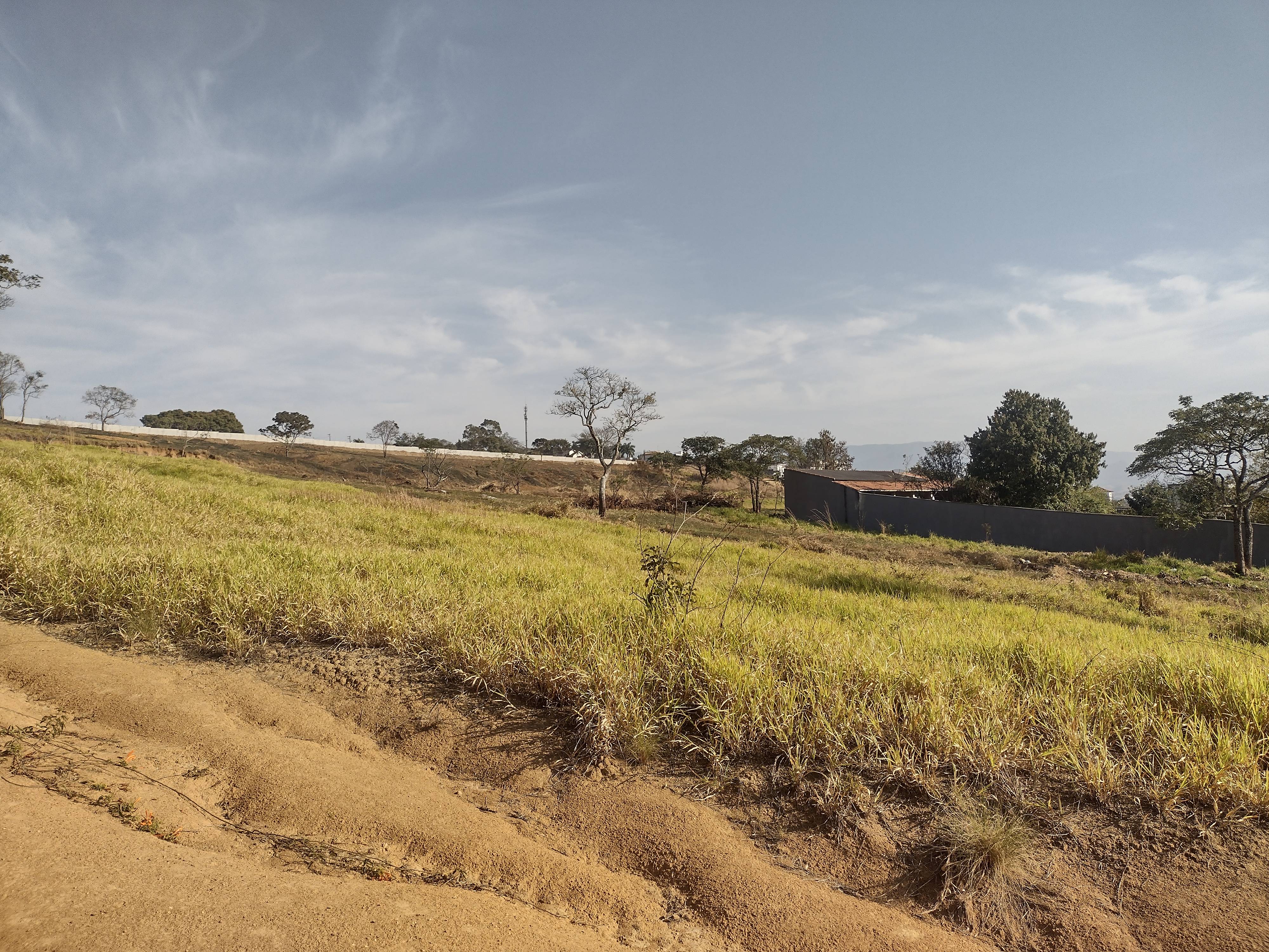 REA DE TERRA no Clonia
