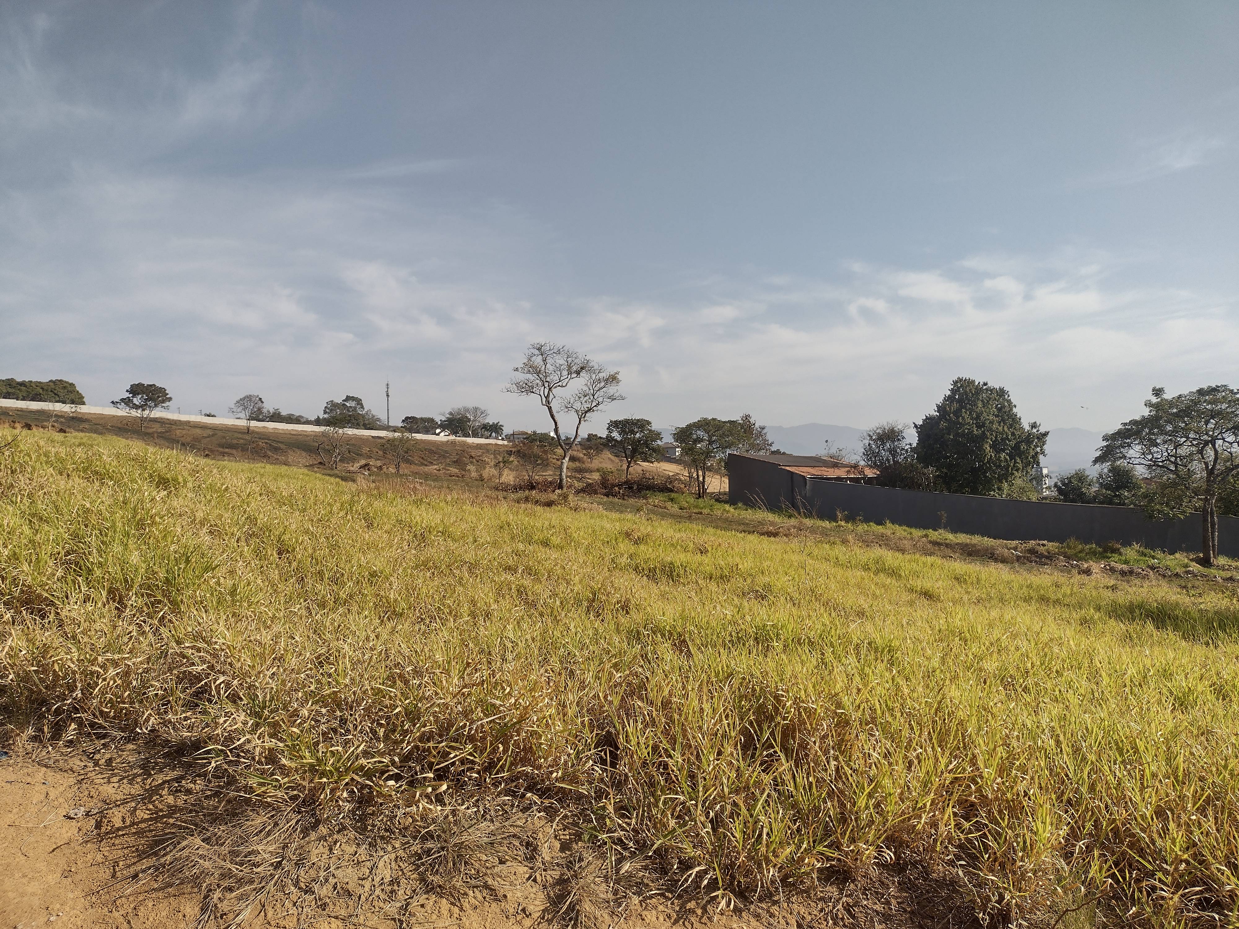 REA DE TERRA no Clonia