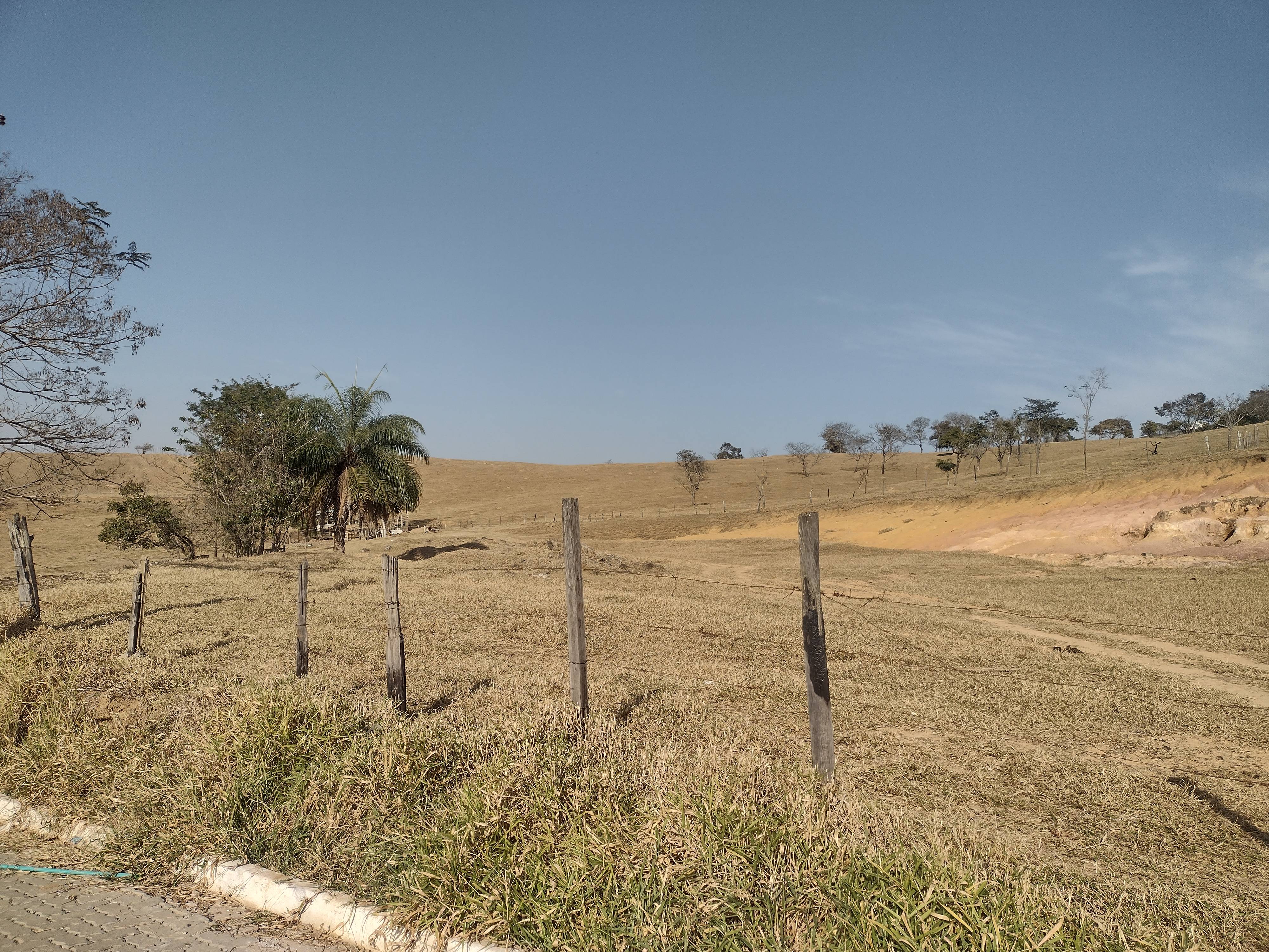 REA DE TERRA no Clonia