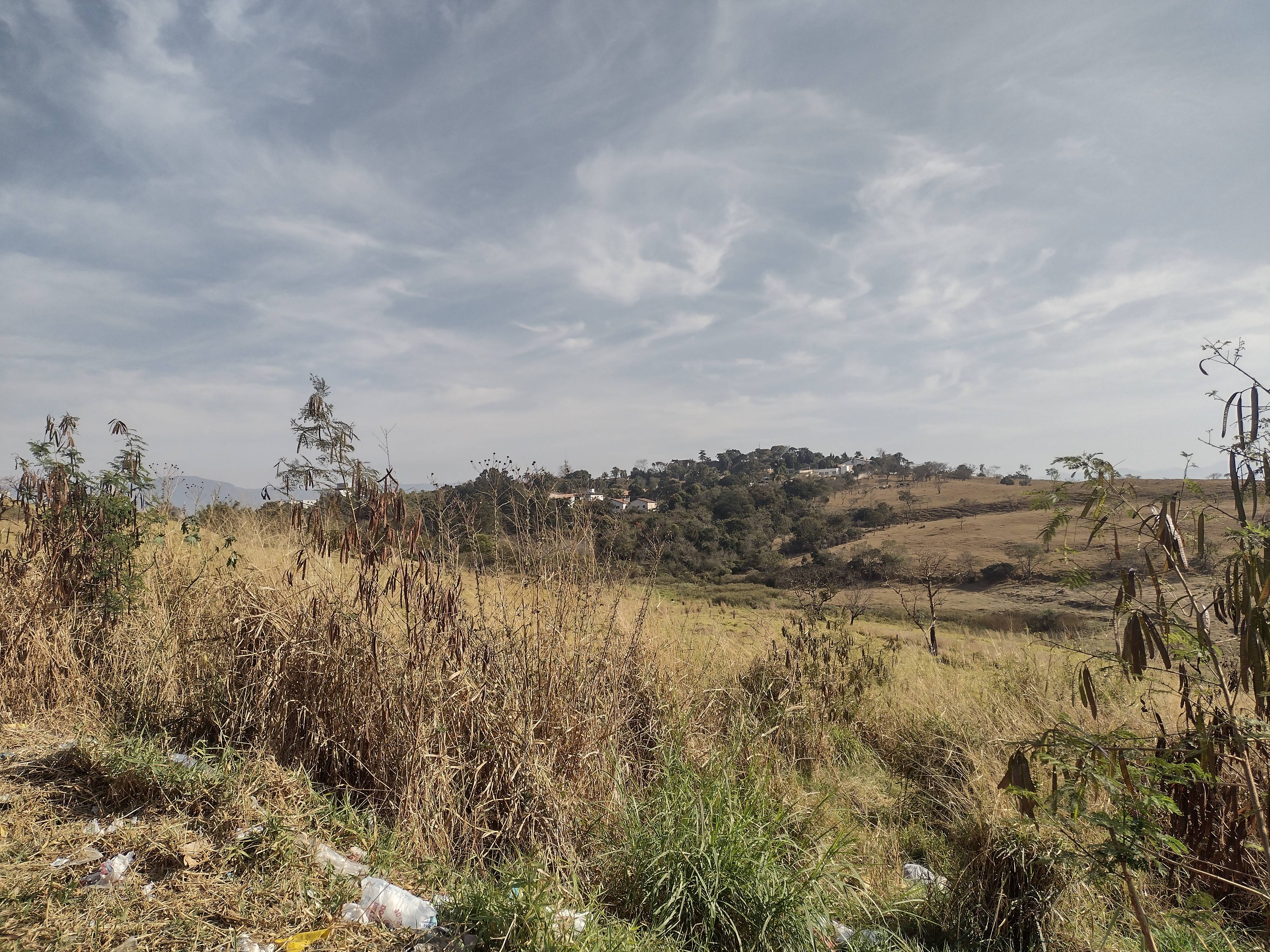 REA DE TERRA no Clonia