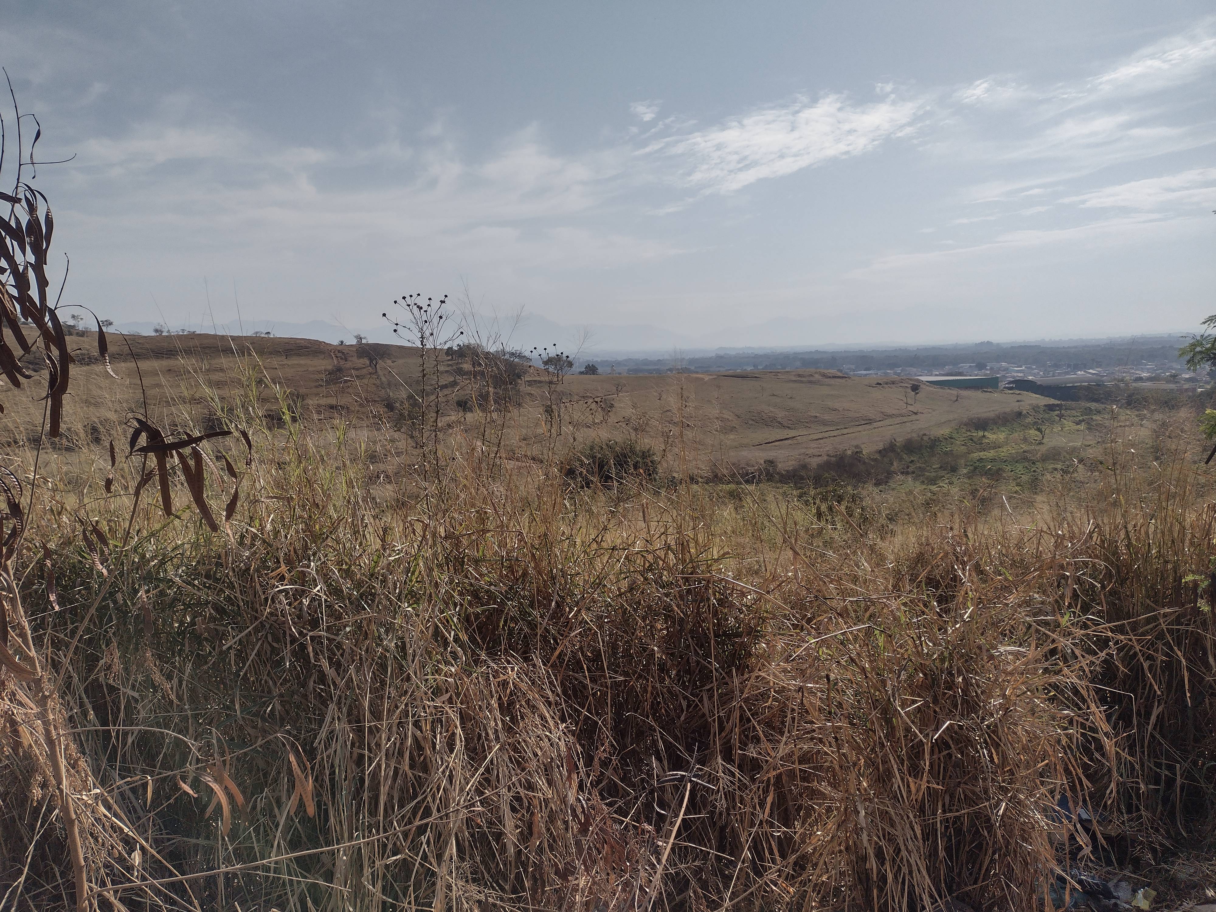 REA DE TERRA no Clonia
