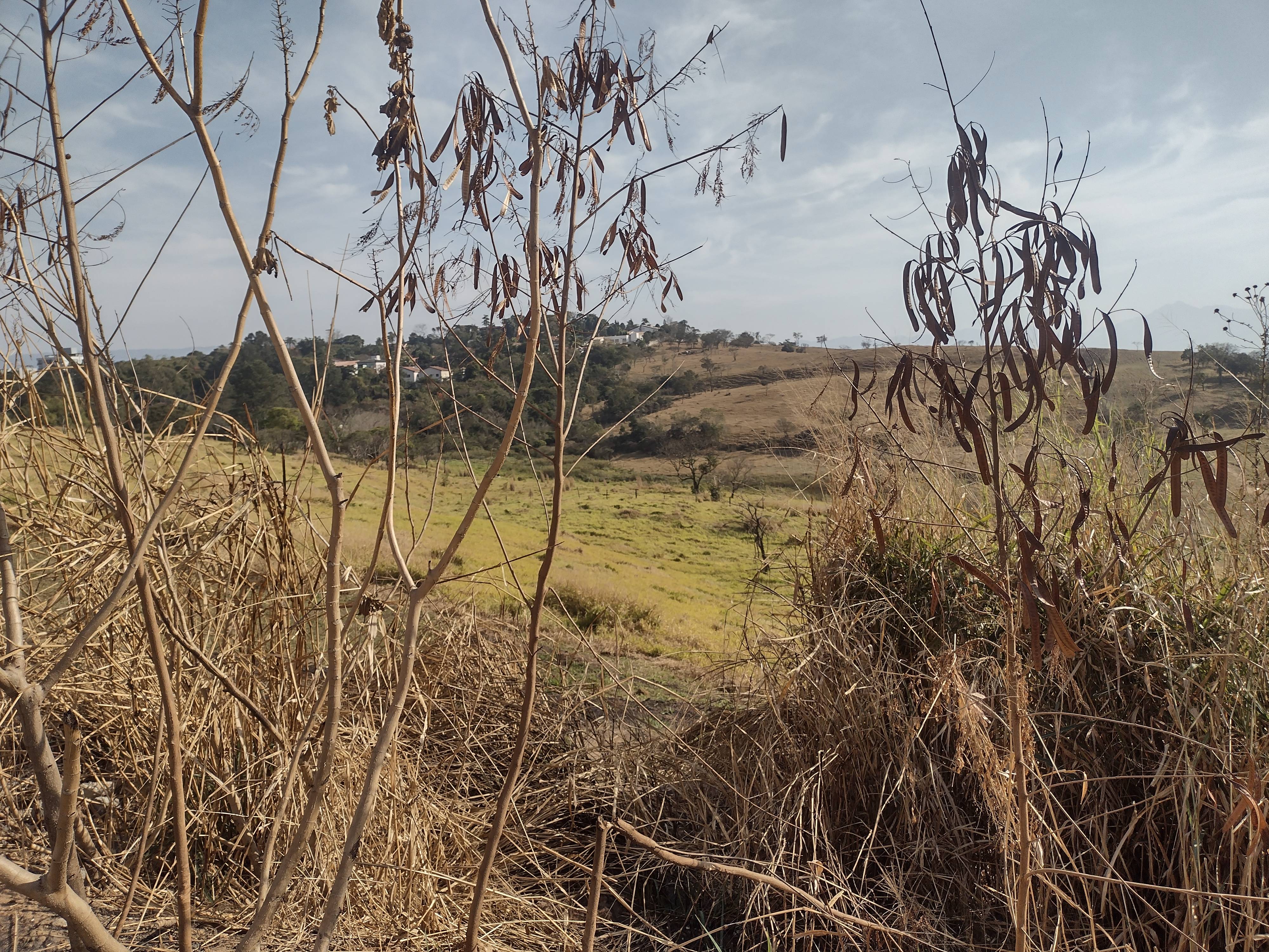 REA DE TERRA no Clonia