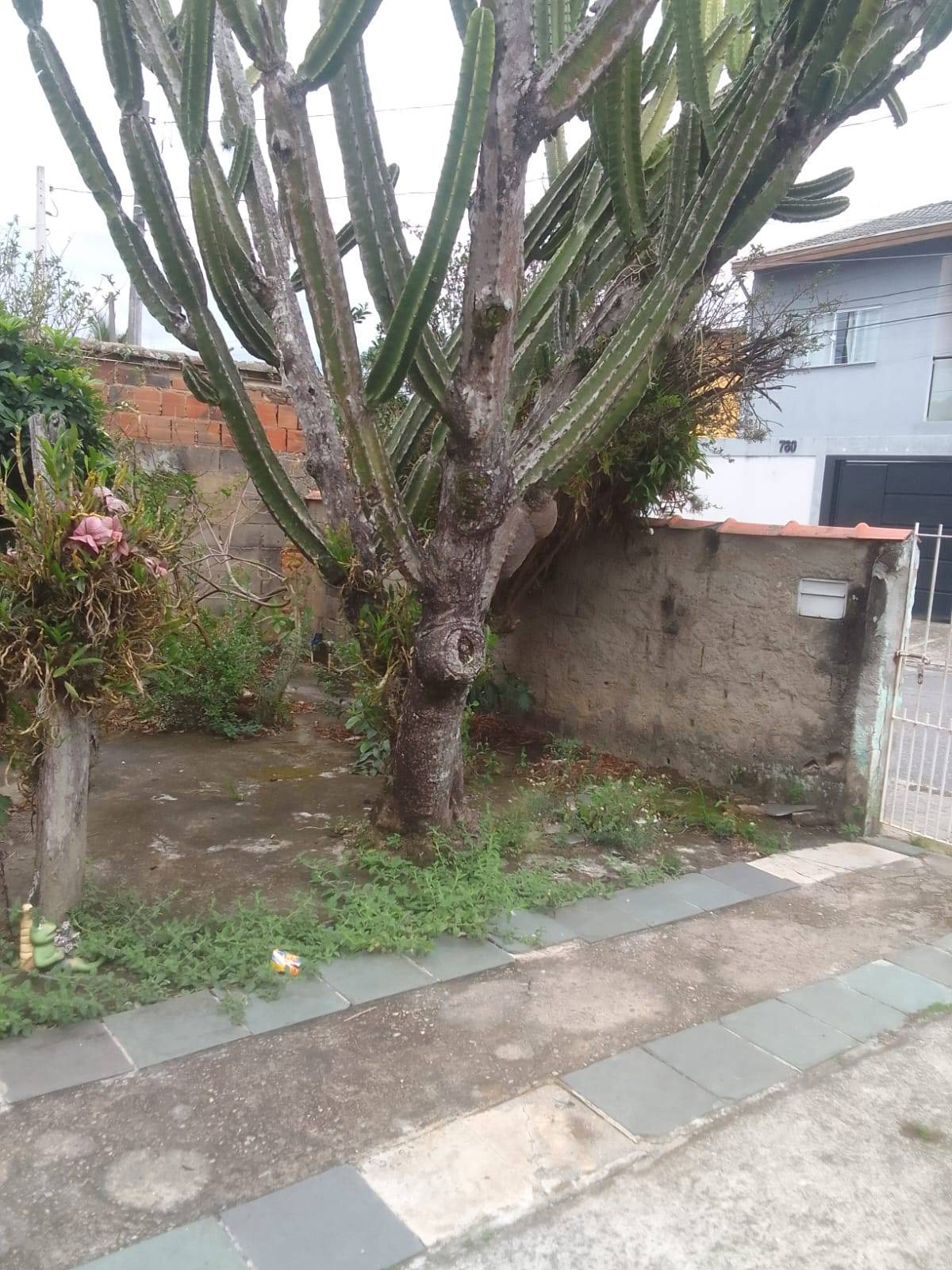 CASA 2 quarto(s)  no So Dimas