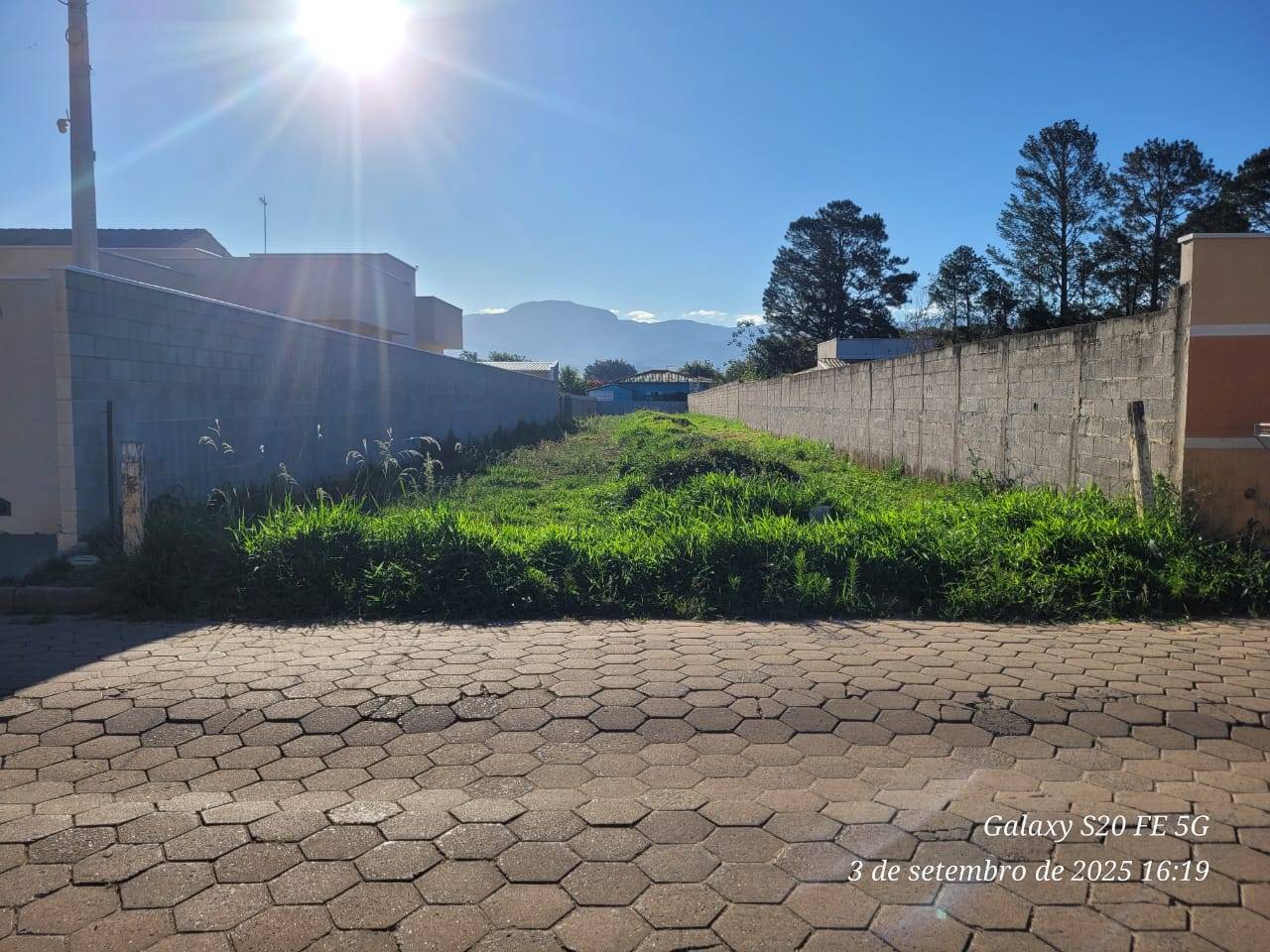 TERRENO no Santa Edwiges