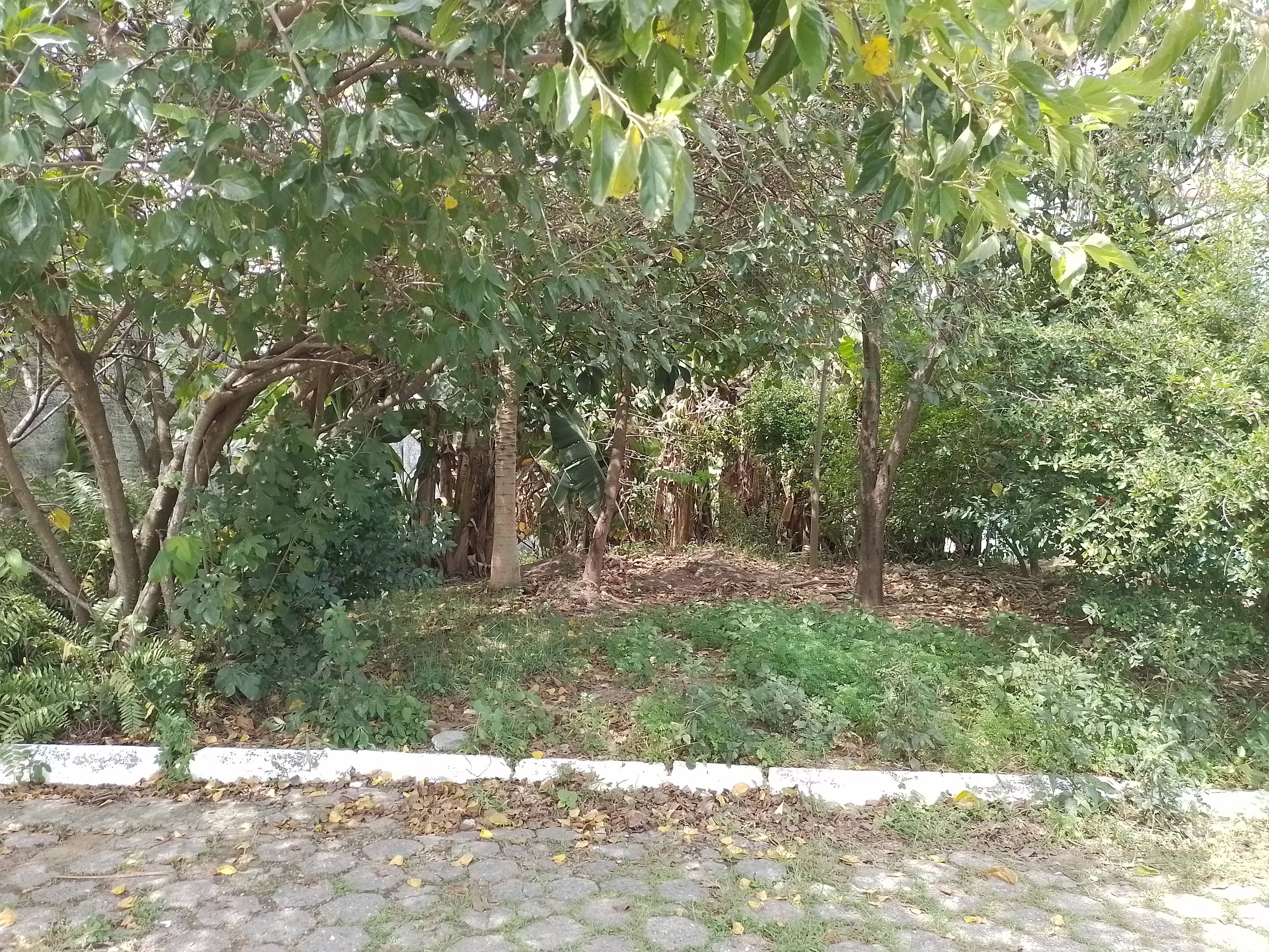 TERRENO no Jardim Esplanada