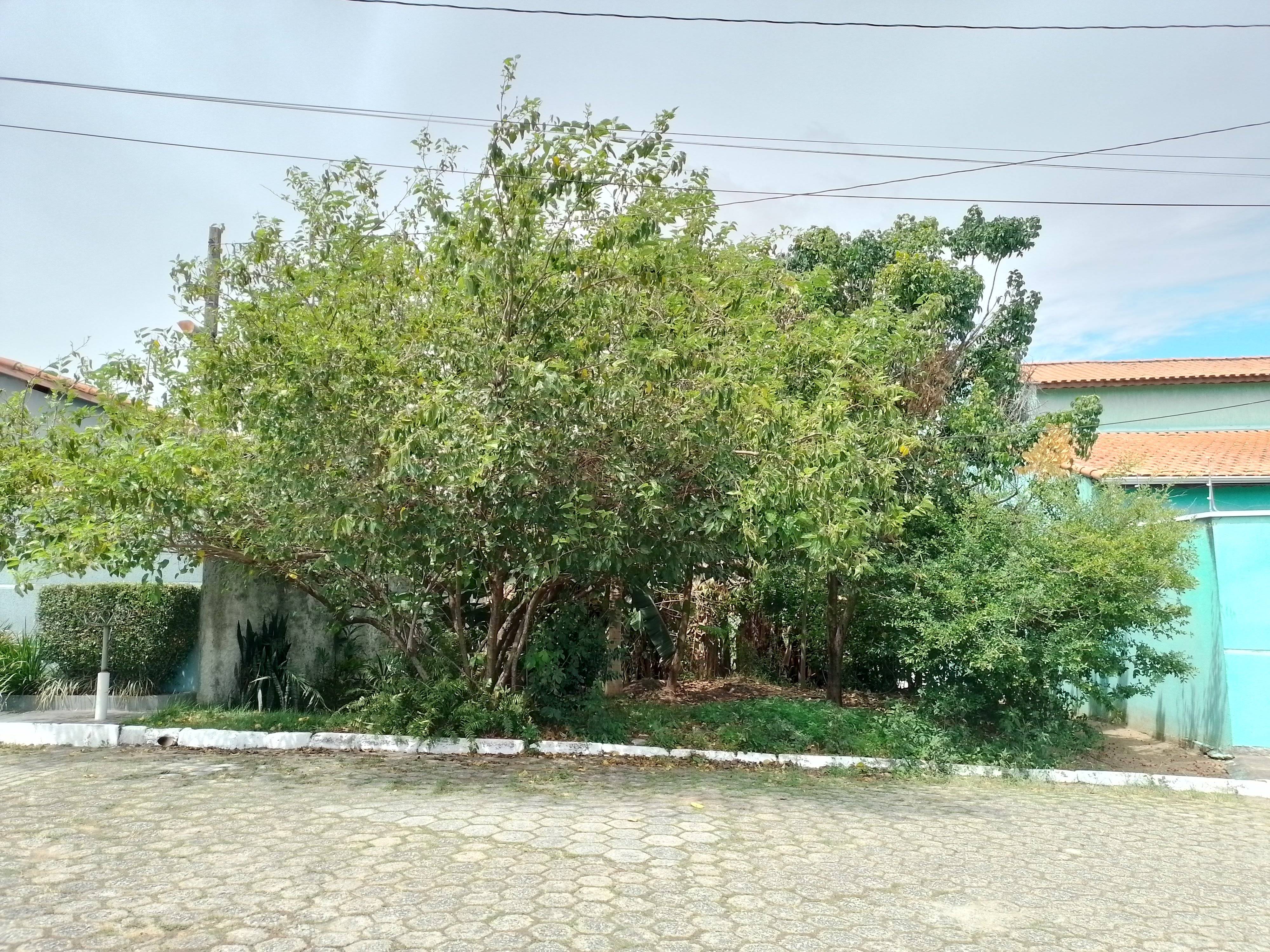 TERRENO no Jardim Esplanada