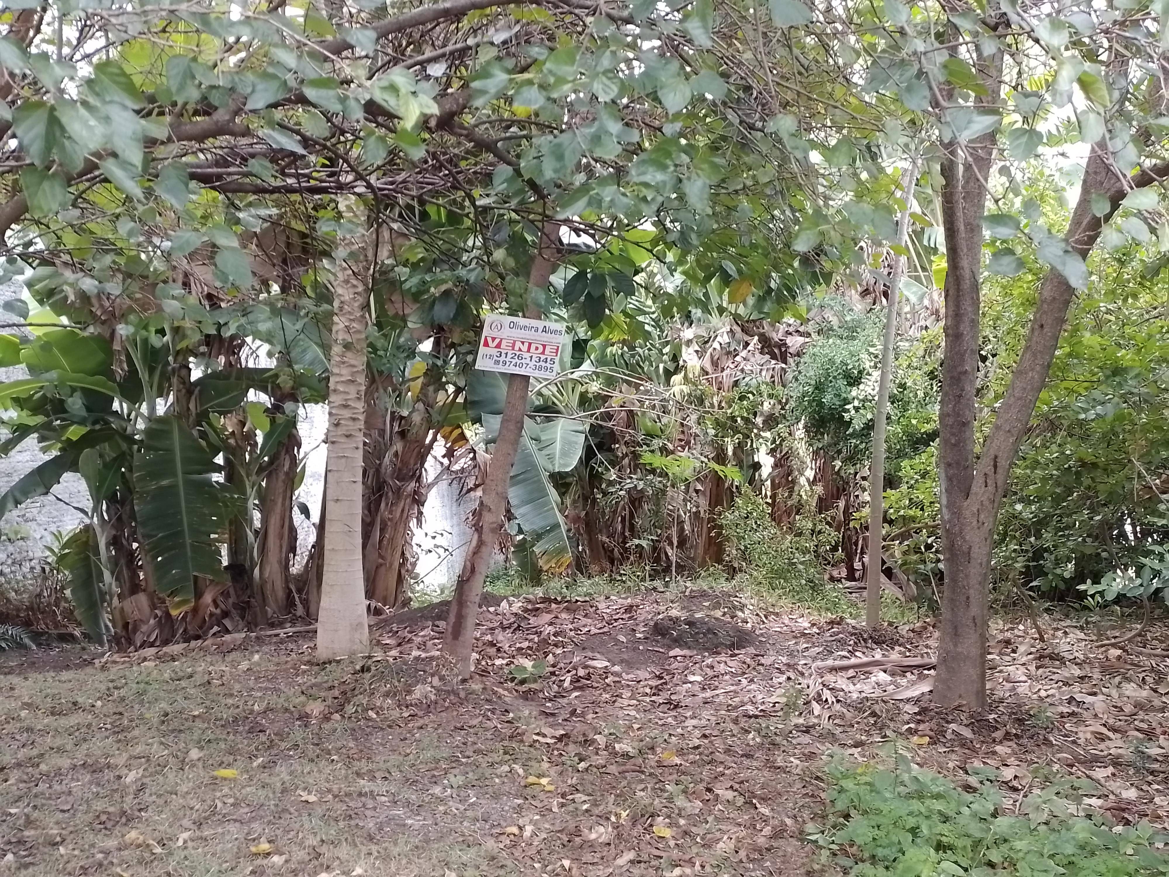 TERRENO no Jardim Esplanada