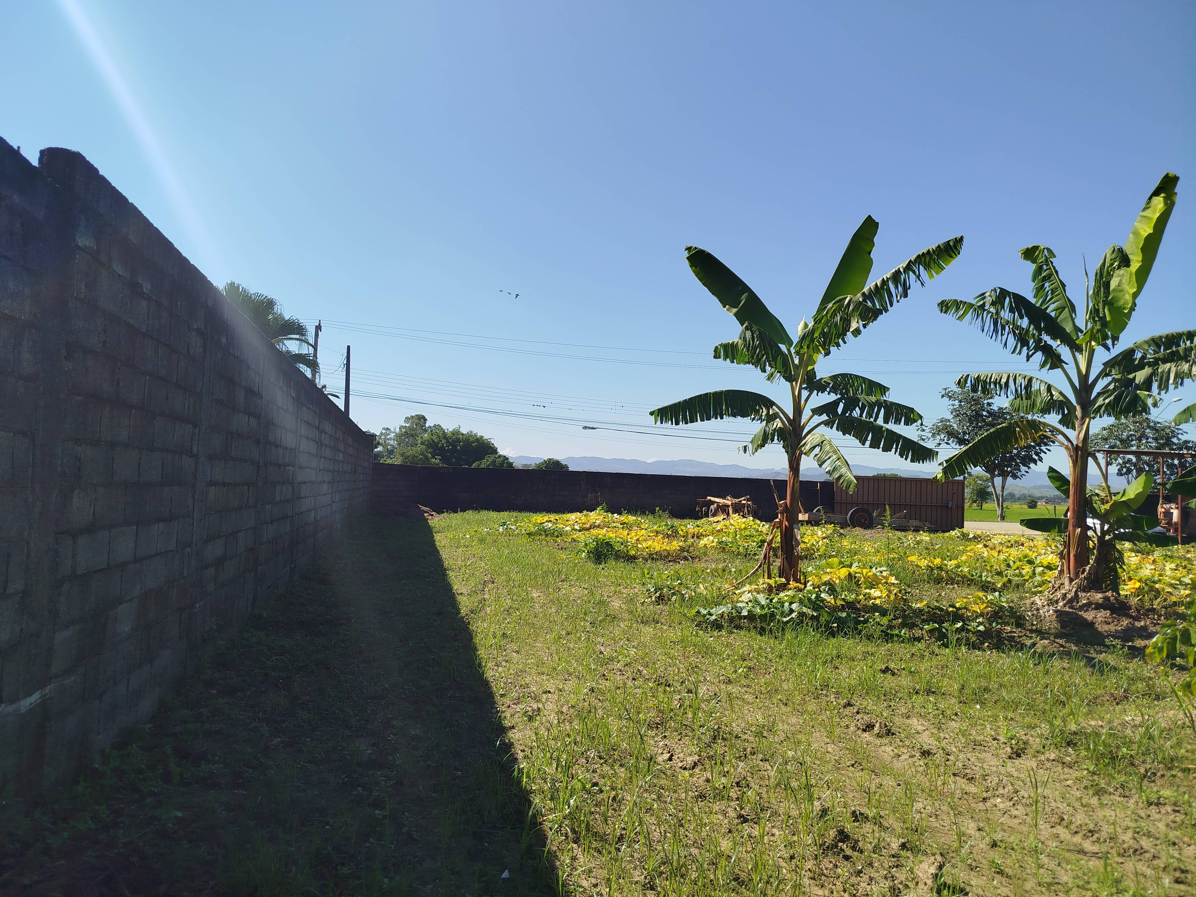 TERRENO no C�lonia