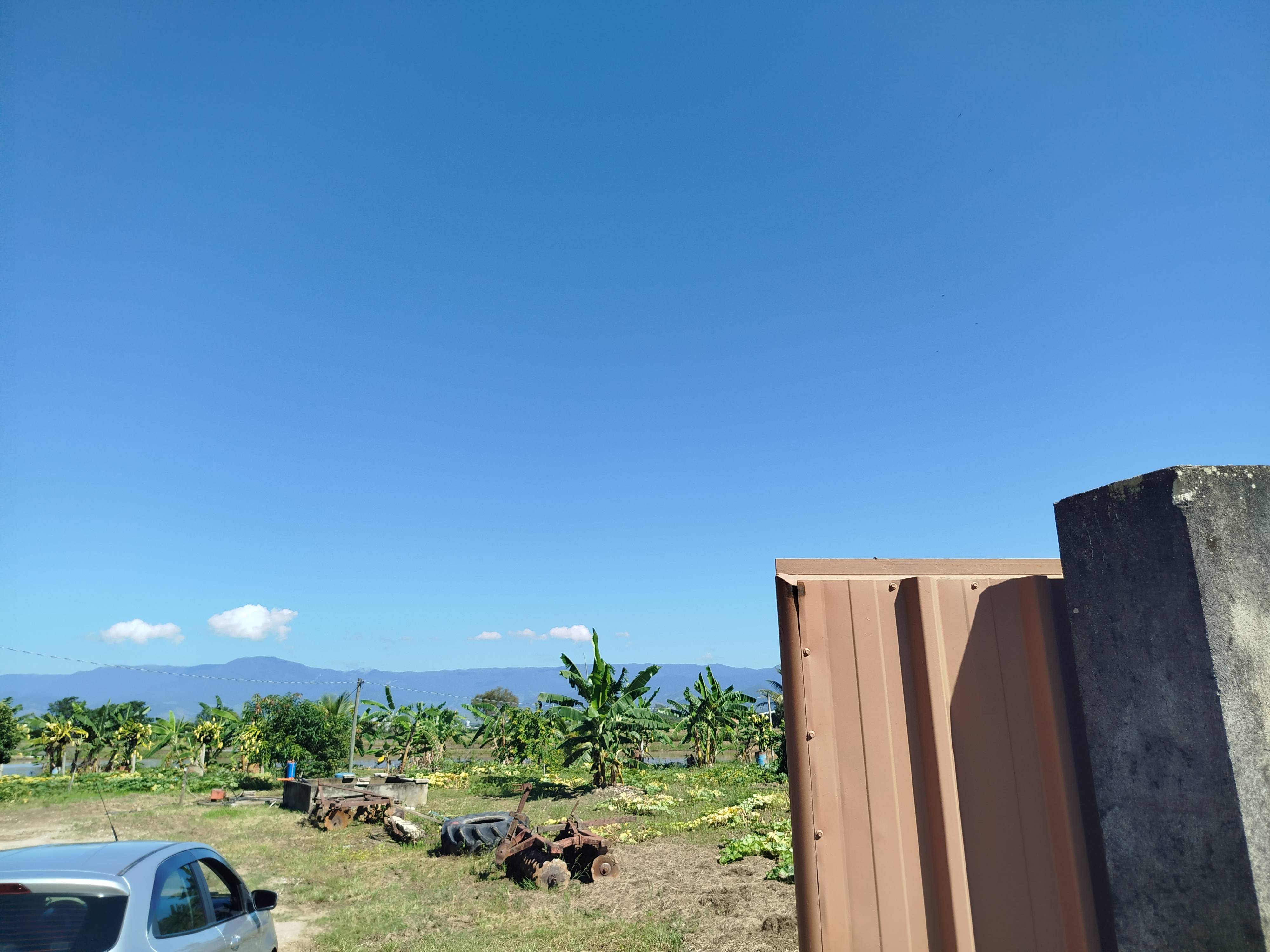 TERRENO no C�lonia